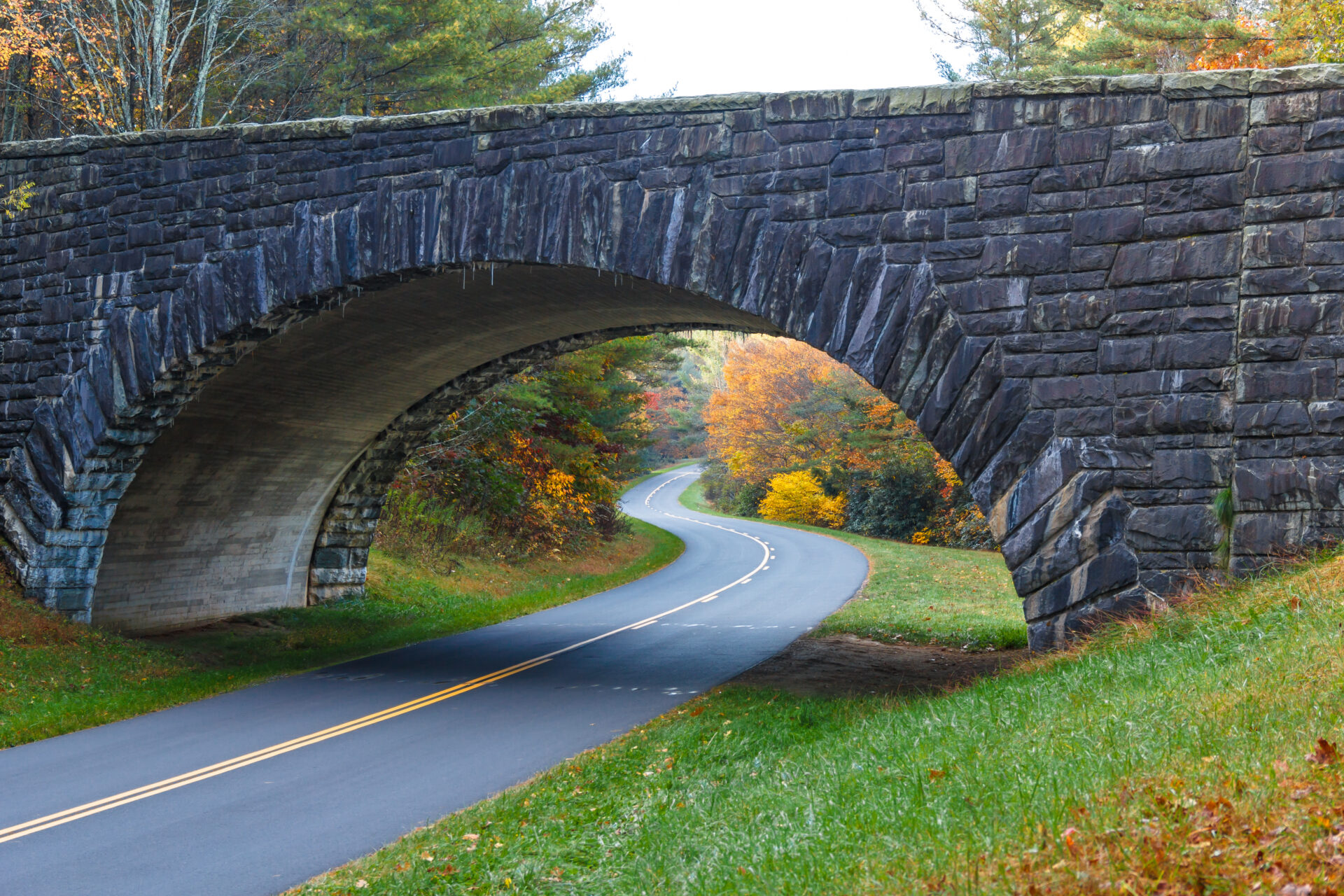 Newland Mountain Realty